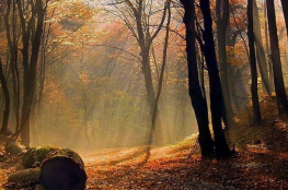 Trójmiejski Park Krajobrazowy 